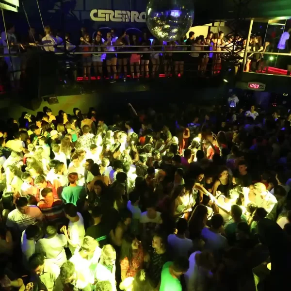 19-TR-CEREBRO_19_11zon